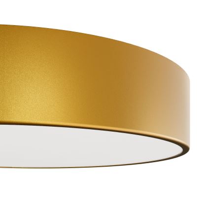 Plafond Lamp CLEO 2xE27/24W/230V d. 30 cm goud