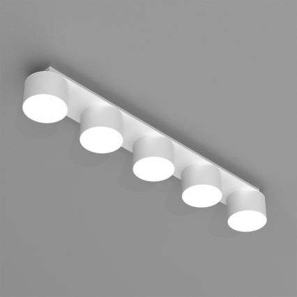 Plafond Lamp DIXIE 5xGX53/11W/230V wit
