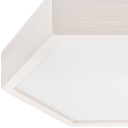 Plafond Lamp HEX 2xE27/60W/230V d. 43 cm dennen wit