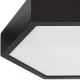 Plafond Lamp HEX 2xE27/60W/230V d. 43 cm dennen zwart