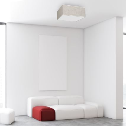 Plafond Lamp LINO 2xE27/60W/230V