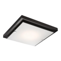Plafondlamp 1xE27/60W/230V dennenhout