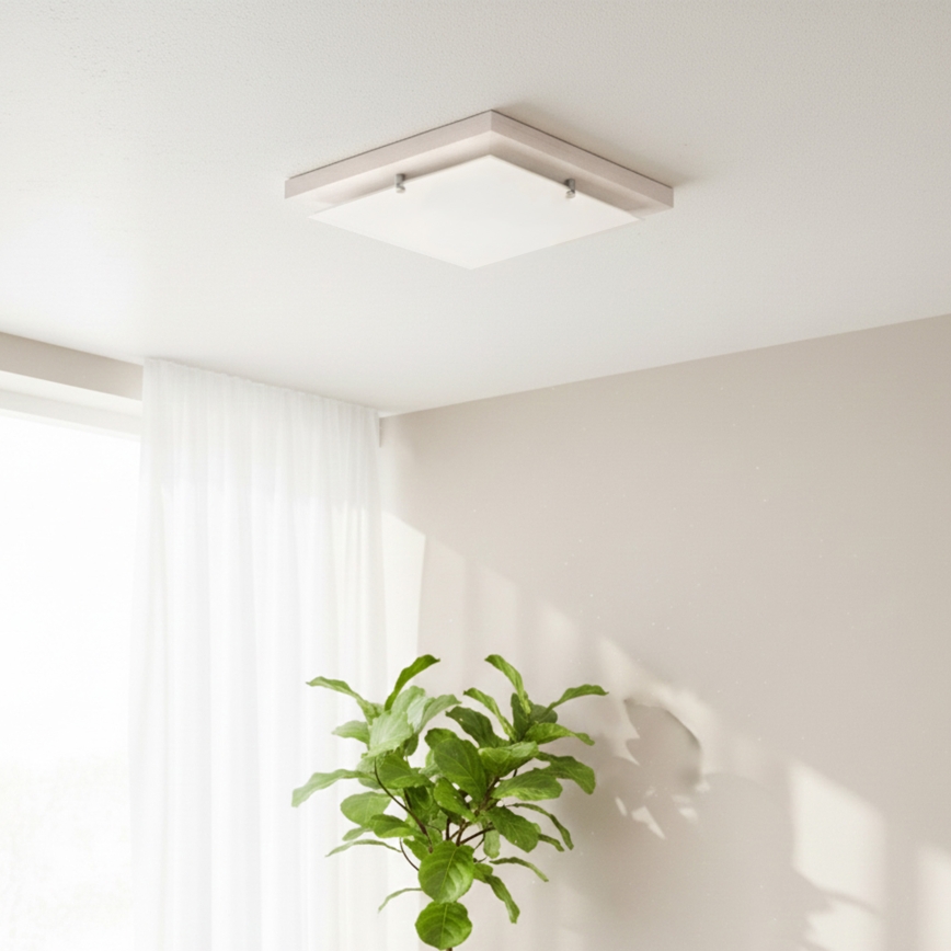 Plafondlamp 1xE27/60W/230V beuk