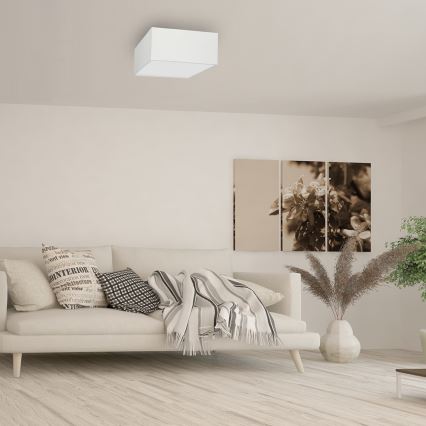 Plafondlamp ALBION 2xE27/60W/230V