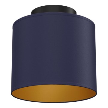 Plafondlamp ARDEN 1xE27/15W/230V Ø 18 cm blauw