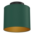 Plafondlamp ARDEN 1xE27/15W/230V Ø 18 cm groen