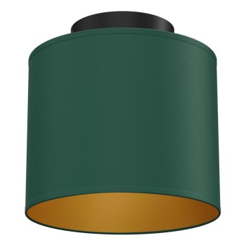 Plafondlamp ARDEN 1xE27/15W/230V Ø 18 cm groen