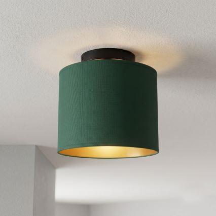 Plafondlamp ARDEN 1xE27/15W/230V Ø 18 cm groen