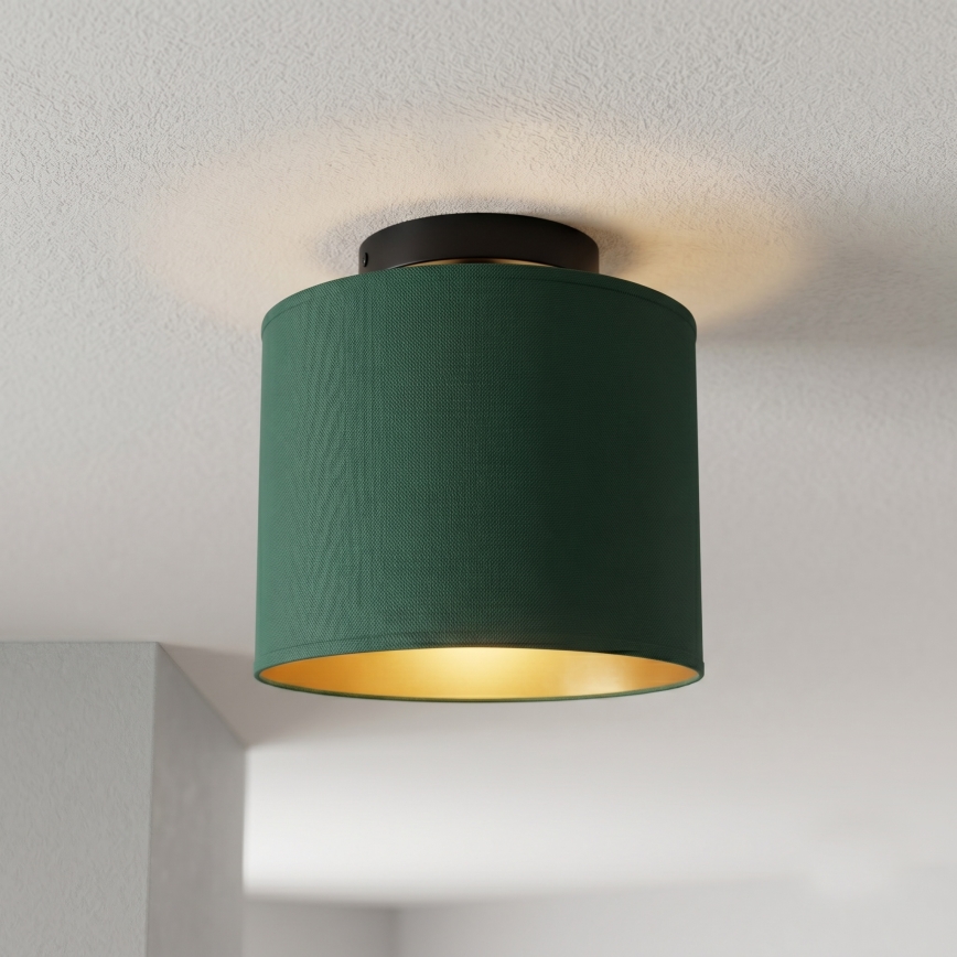 Plafondlamp ARDEN 1xE27/15W/230V Ø 18 cm groen