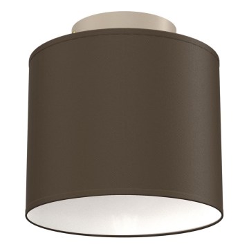 Plafondlamp ARDEN 1xE27/15W/230V Ø 18 cm zwart