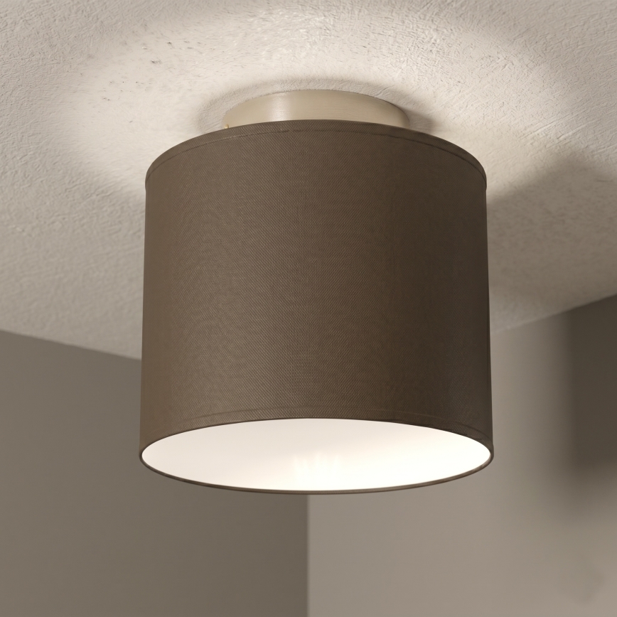 Plafondlamp ARDEN 1xE27/15W/230V Ø 18 cm zwart