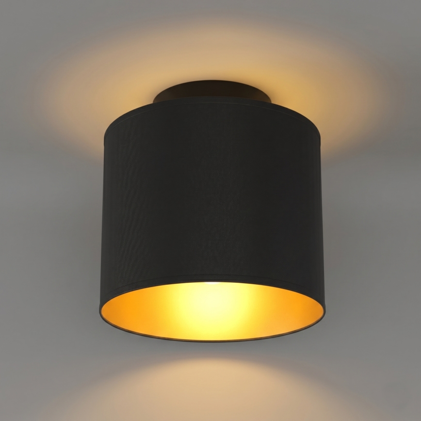 Plafondlamp ARDEN 1xE27/15W/230V Ø 18 cm zwart