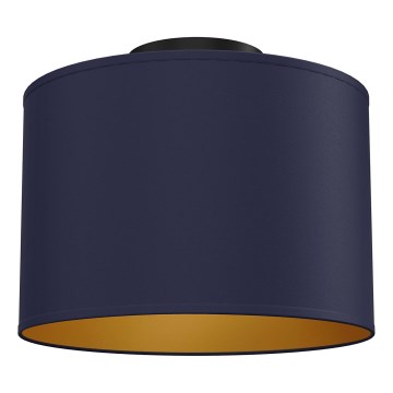 Plafondlamp ARDEN 1xE27/15W/230V, Ø 25 cm, blauw