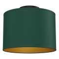 Plafondlamp ARDEN 1xE27/15W/230V Ø 25 cm, groen