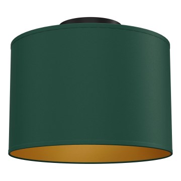 Plafondlamp ARDEN 1xE27/15W/230V Ø 25 cm, groen