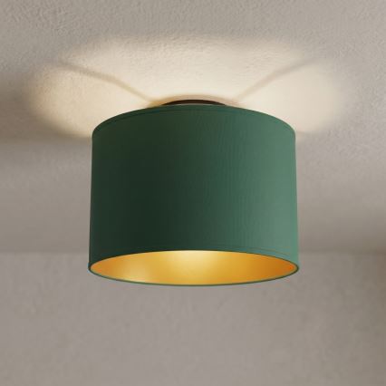 Plafondlamp ARDEN 1xE27/15W/230V Ø 25 cm, groen
