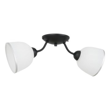 Plafondlamp AVIA 2xE27/60W/230V