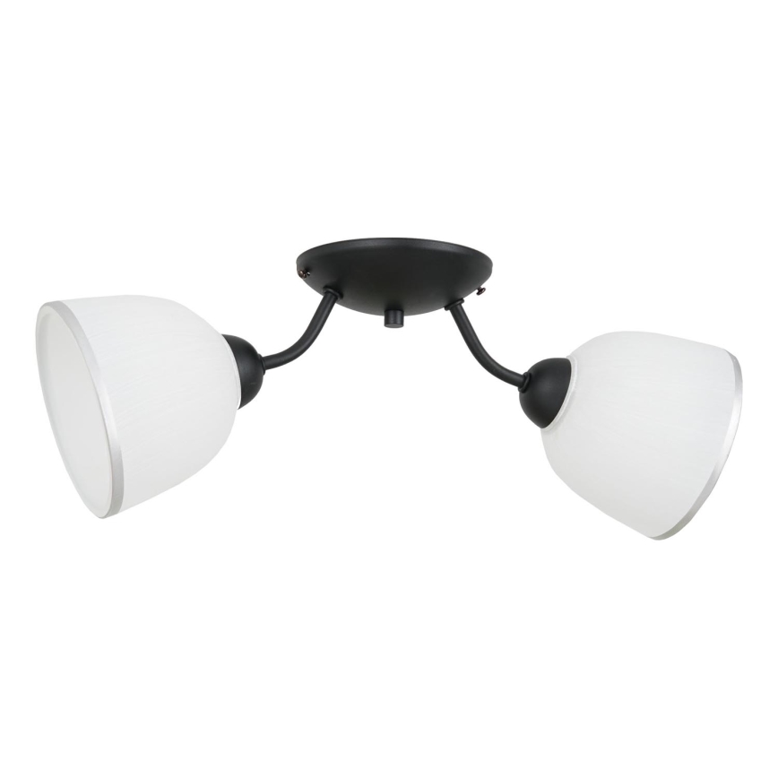 Plafondlamp AVIA 2xE27/60W/230V