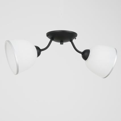 Plafondlamp AVIA 2xE27/60W/230V