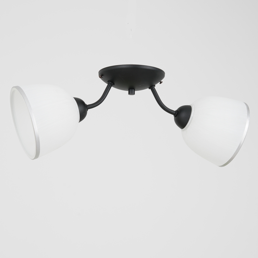 Plafondlamp AVIA 2xE27/60W/230V