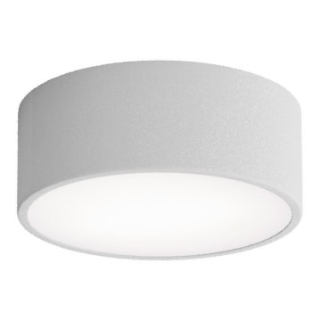 Plafondlamp CLEO met bewegings- en schemersensor, 1x E27/40W/230V, Ø 20 cm, grijs