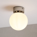 Plafondlamp ELIAS 1xE14/5W/230V Ø 13 cm mat chroom/wit