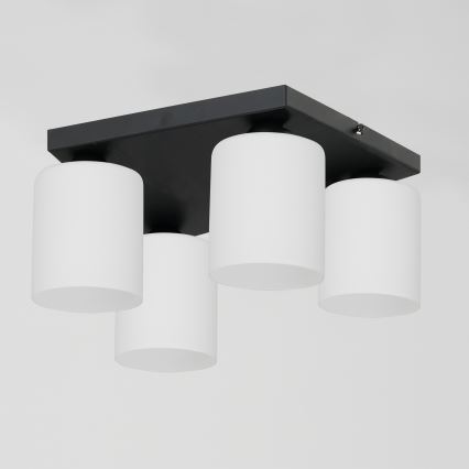Plafondlamp FORT 4xE27/60W/230V