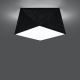 Plafondlamp HEXA 1xE27/60W/230V zwart