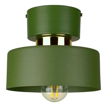 Plafondlamp IGNIA 1xE27/60W/230V groen/goud