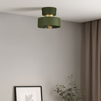 Plafondlamp IGNIA 1xE27/60W/230V groen/goud