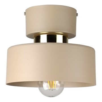 Plafondlamp IGNIA 1xE27/60W/230V taupe