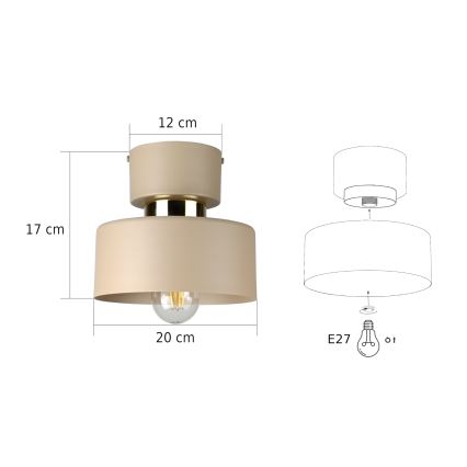 Plafondlamp IGNIA 1xE27/60W/230V taupe