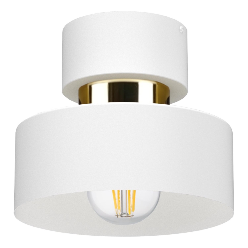 Plafondlamp IGNIA 1xE27/60W/230V wit