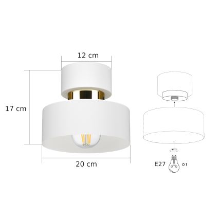 Plafondlamp IGNIA 1xE27/60W/230V wit