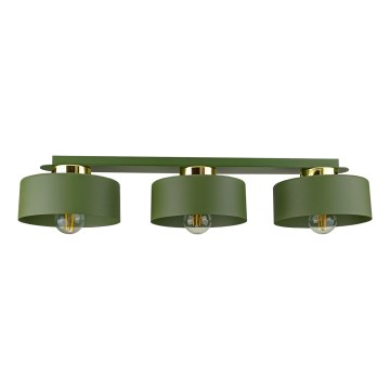 Plafondlamp IGNIA 3xE27/60W/230V groen