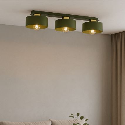 Plafondlamp IGNIA 3xE27/60W/230V groen