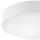 Plafondlamp JONAS 1xE27/60W/230V diameter 26 cm wit