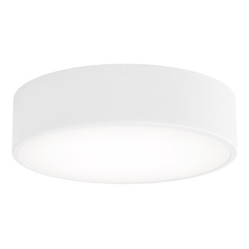 Plafondlamp met bewegings- en schemersensor CLEO 2xE27/24W/230V Ø 30 cm wit