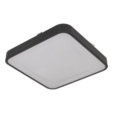Plafondlamp met bewegingssensor WILTON, 2x E27/60W/230V, 33 x 33 cm, antraciet
