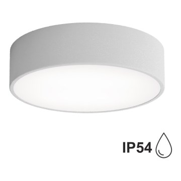 Plafondlamp met Sensor voor Buiten CLEO 2xE27/24W/230V d. 30 cm grijs IP54