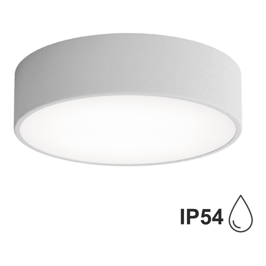 Plafondlamp met Sensor voor Buiten CLEO 2xE27/24W/230V d. 30 cm grijs IP54