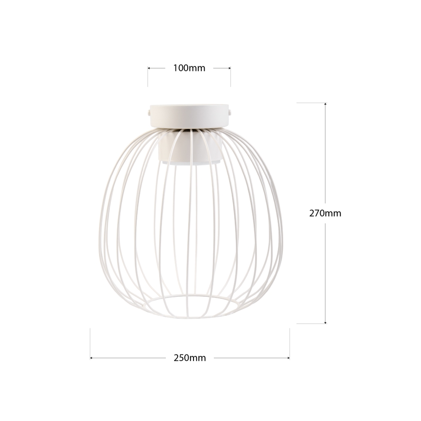 Plafondlamp OVELLA 1xGX53/10W/230V Ø 25 cm crème