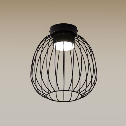 Plafondlamp OVELLA 1xGX53/10W/230V Ø 25 cm zwart