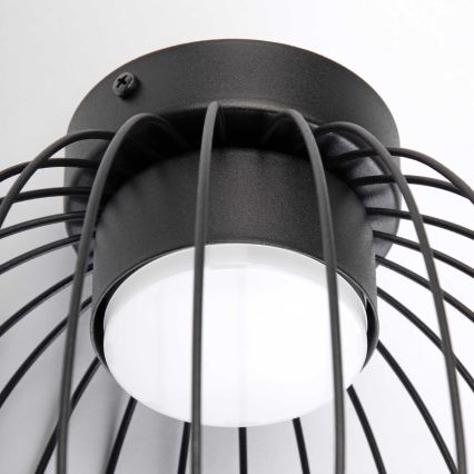 Plafondlamp OVELLA 1xGX53/10W/230V Ø 25 cm zwart