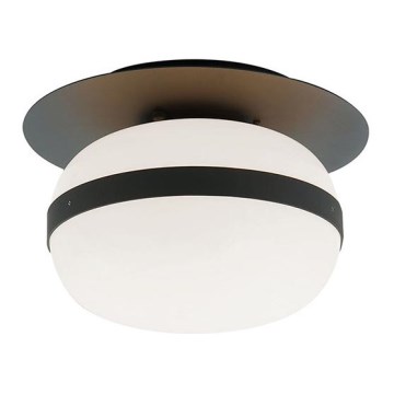Plafondlamp PALMA 1xE27/40W/230V zwart