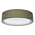 Plafondlamp PURO 2xE27/40W/230V Ø 50 cm groen