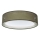 Plafondlamp PURO 2xE27/40W/230V Ø 50 cm groen