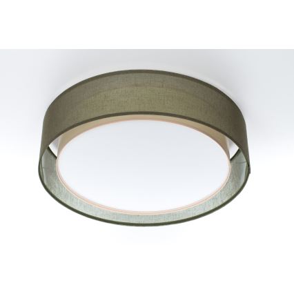 Plafondlamp PURO 2xE27/40W/230V Ø 50 cm groen