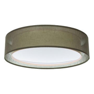 Plafondlamp PURO 2xE27/40W/230V Ø 60 cm groen