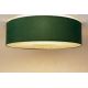 Plafondlamp RAYS 2xE27/60W/230V diameter 60 cm groen